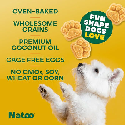 NATOO Biscuits for Small Dogs & Puppies, Coconut & Mango, 8 oz | Crunchy Treats, Rich in Omega 6, Prebiotics & Fiber, Antioxidants for Immunity, Healthy Natural