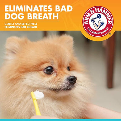 Arm & Hammer for Pets Fresh Breath Enzymatic Dog Toothpaste, Chicken Flavor, Safe for Puppies and Adult Dogs, Daily Baking Soda Dental Gel to Eliminate Bad Breath, 2.5 Oz