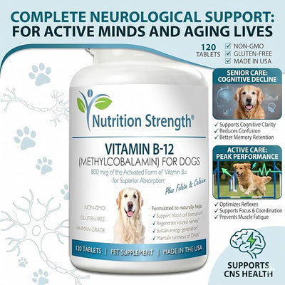 Vitamin B12 for Dogs Plus Folate & Calcium, Support the Nervous System & Blood Cell Formation, Help Sustain Cellular Energy Generation & Maintain DNA Synthesis, 120 Chewable Tablets