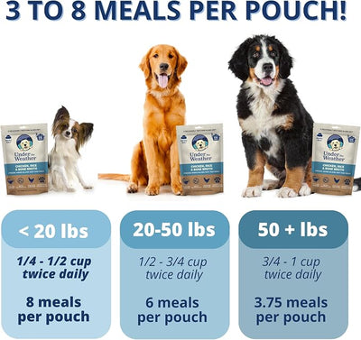 Under the Weather Bland Diet for Dogs, Chicken Rice & Bone Broth, 6oz | Easy to Digest for Sick Dogs, Contains Electrolytes, All Natural Freeze Dried, 100% Human Grade Meats, 1 Pack