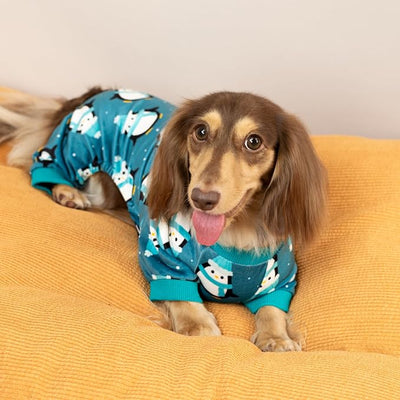 Fitwarm Cute Penguin Dog Pajamas, Dog Winter Clothes for Small Dogs Girl Boy, Cozy Dog Onesie, Soft Pet Jammies, Doggy Apparel, Teal Blue, Medium