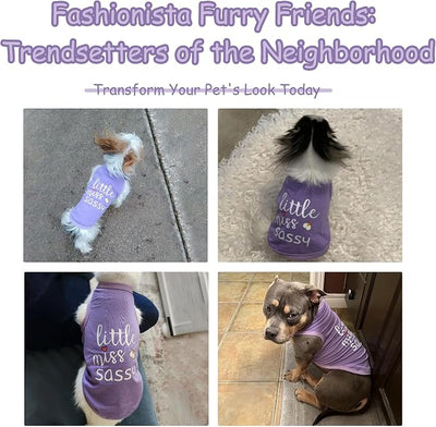 Paiaite Dog Clothes Fashionable Sleeveless Pet Vest: 'Little Miss Sassy' Printed Cotton Dog Shirt, Ideal for Small, Medium, and Large Breeds, Ensuring Comfort and Breathability Purple 3XL