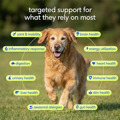 Native Pet Senior Daily Dog Vitamins & Supplements – 12-in-1 Dog Multivitamin Powder for Senior Dogs – Supports Mobility, Cognition, Digestion, Immune Health & More – 120 Scoops