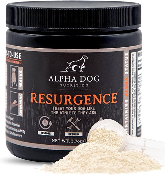 Electrolytes for Dogs - PhD Formulated Hydration Supplement with Beef Flavor for Active Canines - Versatile Powder for Dehydration Recovery and Stamina