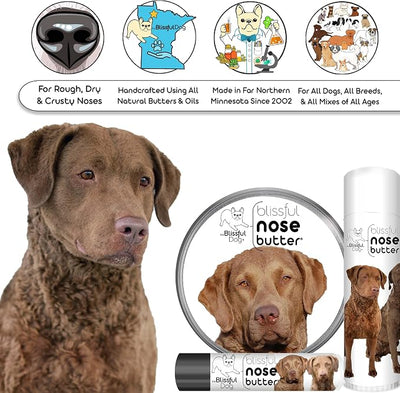The Blissful Dog Chesapeake Bay Retriever Unscented Nose Butter, 1-Ounce