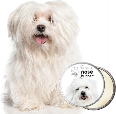 The Blissful Dog Coton De Tulear Unscented Nose Butter, 8-Ounce