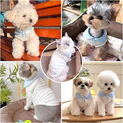Dog Tshirts for Small Dogs Polo Shirt Stretchy Dog T Shirt Breathable Dogs Cooling Vest Sweatshirts Girl Boy Puppy Dachshund French Bulldog Frenchie Chihuahua Pet Clothes