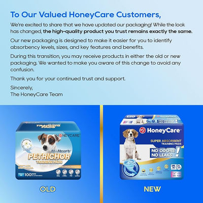HONEY CARE All-Absorb A07 Bulk Packaging Training Pads, Blue, Large - 22" x 23" 200ct