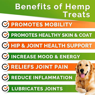 Glucosamine for Dogs Hip & Joint Supplement - Chondroitin, Omega-3, MSM - Joint Health & Pain Relief - Senior & Large Dogs - Made in USA - 120Count Mobility Chews
