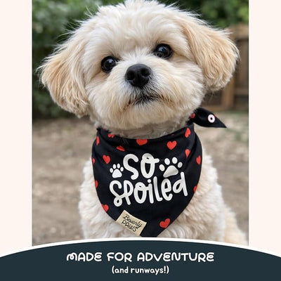 Funny Snap-On Dog Bandana for Small Medium Large Pets, Dogs Cats Adjustable Handkerchief Scarf for Girl & Boy, Cute Puppy Apparel & Accessories (So Spoiled, Small)