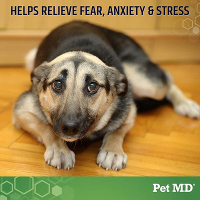 Pet MD Calming Chews for Dogs - Dog Calming Treats with Hemp & Melatonin - Calming, Anxiety Relief, & Separation Relaxant with Chamomile & L-Tryptophan - 120 CT