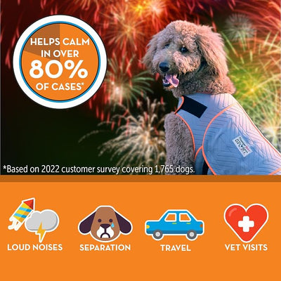 ThunderShirt for Dogs, X Small, Platinum Sport - Dog Anxiety Relief Calming Vest