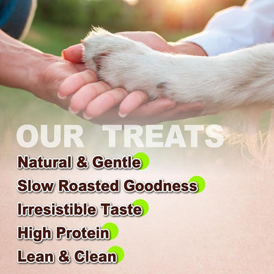 A Freschi srl Chicken Jerky Dog Treats, All Natural, High-Protein, Healthy & Easily Digestible, Grain-Free Puppy Chews, Human Grade Training & Rewards Dog Snacks, Chicken Chips, 16 oz Pack