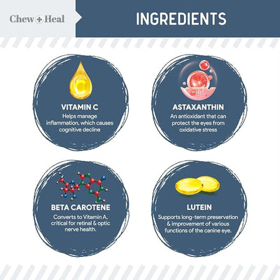 Chew + Heal Labs Senior Dog Vision and Cognition Chews - 120 Soft Chews for Dog Eye Care and Memory - 7-in-1 Multivitamin with Omega Fatty Acids, Vitamins, and Botanicals - Made in the USA