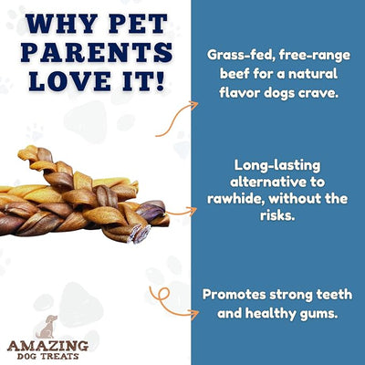 Amazing Dog Treats - 6 Inch Braided Collagen Sticks for Dogs - (10 Count) - Collagen Bully Sticks for Dogs