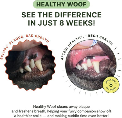 Dental Powder for Dogs Teeth Cleaning. Complete Oral Care Bone Broth. Made in the USA. 2.1 oz, 30 Scoops