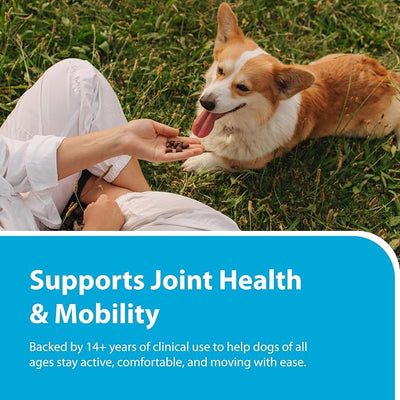 PRN Pharmacal Duralactin Canine Chewable Tablets - Joint Health Supplement for Dogs & Puppies - Pet Mobility Support - Vanilla Flavored Chews - 180 Count