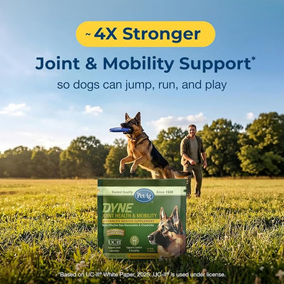 PetAg Dyne Soft Chews Sample, Joint Health & Mobility Supplement - Vet-Formulated for Dogs - with UC-II® Collagen - Up to 4X More Effective Than Glucosamine/Chondroitin - 3 Chicken Liver Flavor Chews