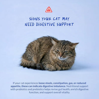 Probiotics for Cats Powder - Digestive, Gut & Diarrhea Support | With Inulin & Prebiotics. Supports gut health, reduces gas, diarrhea, constipation & allergy symptoms in cats.
