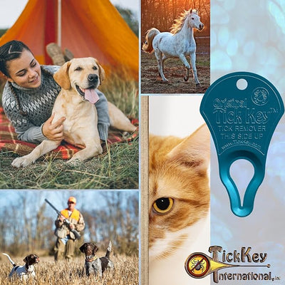 The Original Tick Key Tick Removal Device - Portable, Safe and Highly Effective Tick Removal Tool - Assorted Colors 6 Pack