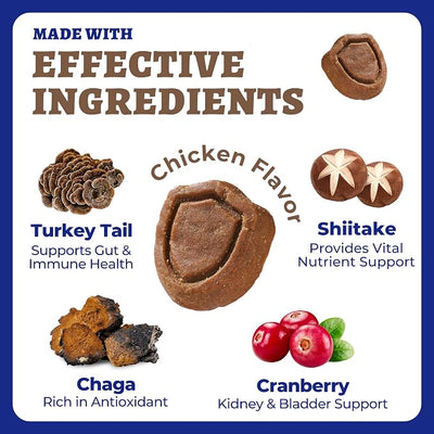 260 Bites Turkey Tail Mushroom for Dogs - Immune, Gut, Skin, Joint Health Mushroom Supplement for Dogs - Turkey Tail for Dog Chews with All Breeds & Sizes - Chicken Flavor Dog Supplements