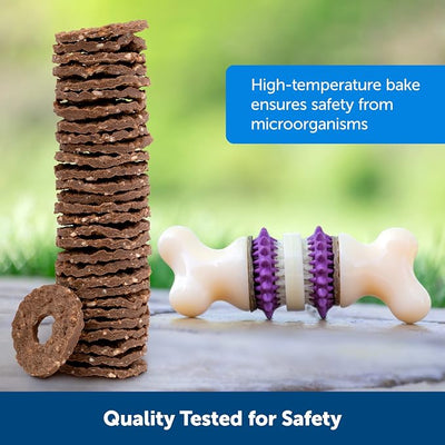 PetSafe Natural Rawhide Treat Ring Refills, Size A, Replacement Treats Busy Buddy Treat Ring Holding Toys (Pack of 32)