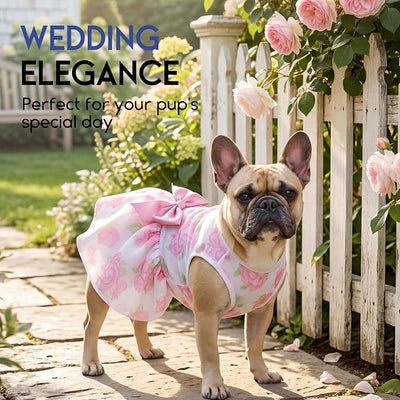 ASENKU Dog Dress Pet Wedding Dress Princess Lace Puppy Birthday Party Outfit Formal Apparel Girl for Small Medium Dogs Cats (Large, Rose)
