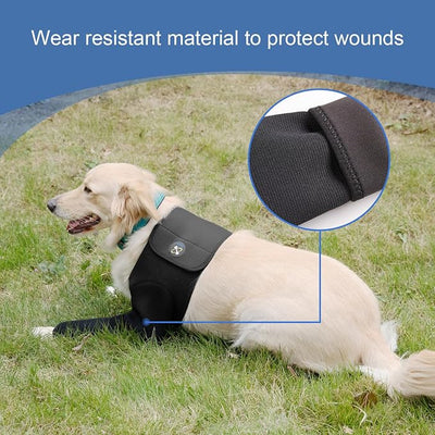 Coodeo Dog Recovery Suit, Cone Collar Alternative, Abrasion Resistant Dog Recovery Sleeve, Washable 2.5mm Thick and Waterproof, Pet Wounds Prevent Licking, Bite, Keep Dry (Black, M)