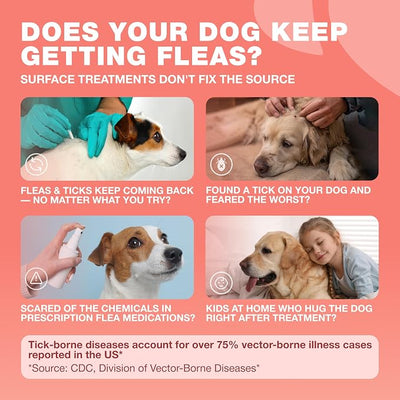 Dog Flea and Tick Treatment Chews - Flea and Tick Prevention for Dogs - Flea & Tick Chewables - Natural Dog Flea & Tick Control Soft Treats - Flea Chewables for Dogs - Immune Support Supplement
