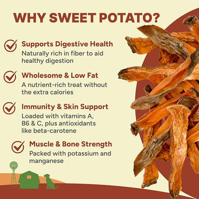 Gaines Family Farmstead Jumbo Sweet Potato Fries for Dogs – 14 oz, Chewy Single Ingredient, Grain-Free Dog Treats, Rawhide-Free Chews, High-Fiber Snacks for Training & Rewards, Made in USA