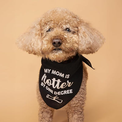 My Mom is Hotter By One Degree Dog Bandana | 100% Cotton Triangle | Made in USA | Tie Dye | Graduation Prop | Class of 2025 2026 2027 2028 |Royal Scrunch, One Size (667)
