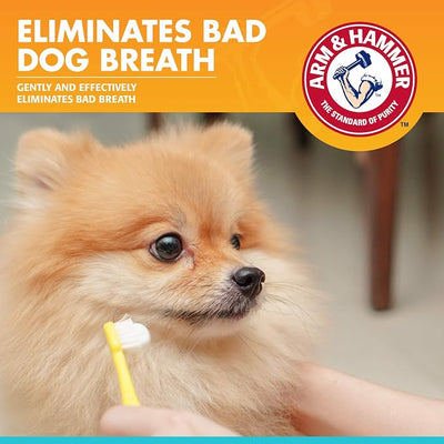 Arm & Hammer for Pets Fresh Breath Enzymatic Dog Toothpaste Vanilla Ginger Flavor Baking Soda Dental Gel Eliminates Bad Breath Safe Puppies Adult Dogs Daily Use 2.5 OZ Single at Home Dental Care