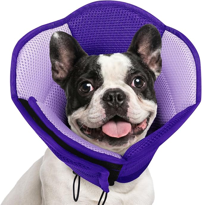 Dog Cone - Soft Dog Cone Collar to Stop Licking, Adjustable Comfy Cones for Dogs After Surgery, Foldable Cones for Dogs Elizabethan Pet Collar for Medium Pets, Pet Recovery Collar, Purple M