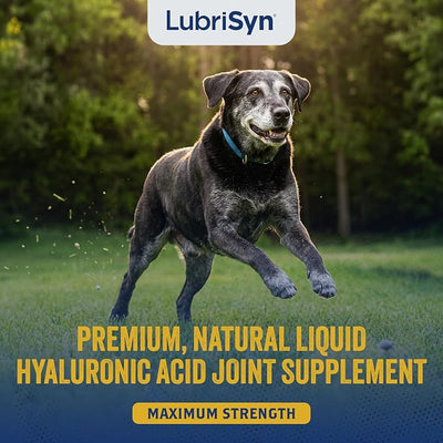 LubriSyn HA Hyaluronic Acid Hip & Joint Supplement for Dogs & Cats, Vet-Developed Oral HA, Original Pet & Equine Liquid Formula Supports Mobility, Cartilage Health & Comfort, 8 oz