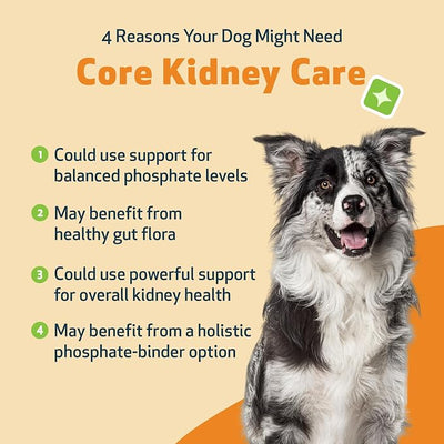 Pet Wellbeing Core Kidney Care for Dogs - Daily Phosphate Binder, Supports Healthy Kidney Function with FOS, Chitosan, Probiotics - Veterinarian-Formulated 5.08 oz (144 g) Powder