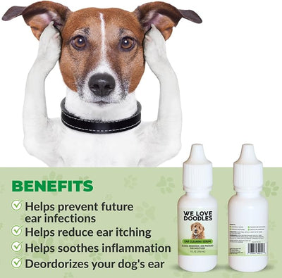We Love Doodles Dog Ear Serum | Eco-Friendly Ingredients | Made in The USA | Ear Drops for Dogs | Pet Wash Solution Ear Cleanser