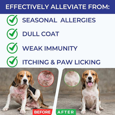 Dog Allergy Chews, Allergy Immune Support for Dogs, Seasonal Allergies Support, Dog Itching Skin Hot Spots Help Relief with Probiotics Turmeric Colostrum Omega-3, Chicken Flavor, 100Ct