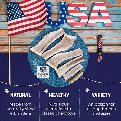 Devil Dog Pet Co. Split Elk Antlers for Dogs, Natural Dog Chew with Exposed Marrow - Long Lasting and Odor Free - USA Sourced - Cleaner Teeth, Anxiety & Boredom Relief - Large 6"+ - Antler Bone