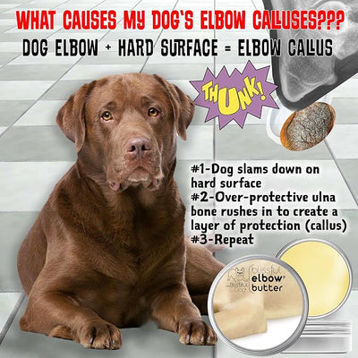 The Blissful Dog Elbow Butter for Dry, Cracked Calluses, Lick-Safe Dog Balm, Soothing Elbow Balm with Moisturizing Shea Butter, Almond, Olive, and Essential Oils, Pet Supplies, 0.50 oz. Stick