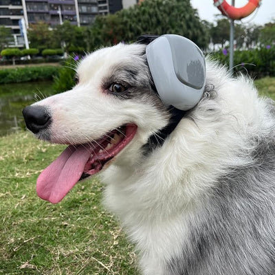 derYEP Dog Earmuffs GEN2 for Hearing Protection 30dB NRR Ear Muffs Noise Protection (Large, Nocturne Grey)