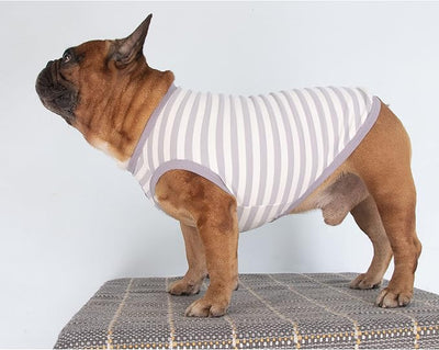 iChoue English Bulldog 100% Breathable Cotton Striped T Shirts Halloween Vest Clothes for Medium Dogs Tank Tops French Frenchie Pug Boston Terrier Pitbull Grey White Stripes - XXLarge
