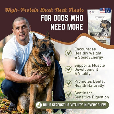 All American Canine 6 Natural Duck Neck Dog Treats – Single Ingredient, Dehydrated & Chewy – Low-Fat, High-Protein Training Reward – Made in USA