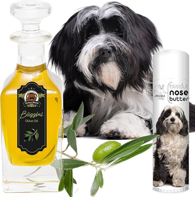 The Blissful Dog Tibetan Terrier Unscented Nose Butter - Dog Nose Butter, 0.50 Ounce,UNSC-TIBTERR-50oz