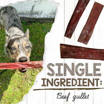 Nature Gnaws Beef Gullet Chews for Large Dogs 9-10" (50 Count) - Natural Beef Jerky Stick Dog Chew Treats - Rawhide Free