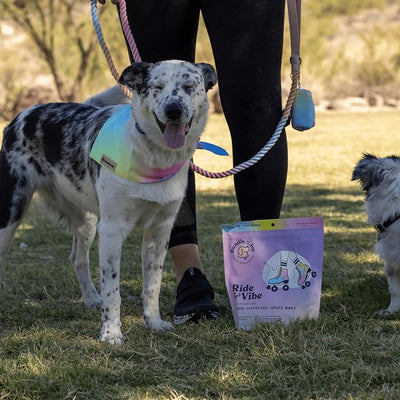 Bundle x Joy Ride & Vibe Salmon Jerky for Dogs - 5 Oz Bag, Natural Superfood - Corn, Poultry, Soy & Grain Free Salmon Dog Treats Made in USA Only