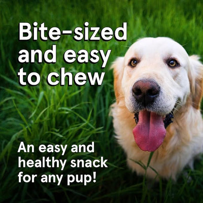 TRMC Real Meat Dog Treats - Two 12oz Bag of Bite-Sized Air-Dried Lamb & Venison Jerky for Dogs - Grain-Free Jerky Dog Treats with 95% All-Natural, Free-Range, Grass Fed Lamb & Venison