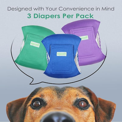 Wegreeco Washable Dog Diapers - Washable Male Dog Belly Wrap- Pack of 3 - (Blue,Green,Purple,X-Small)