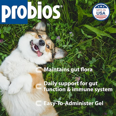 Probios Probiocin Oral Probiotic Gel for Dogs and Cats, Digestive and Immune Support Supplement, Easy Syringe Administration, Suitable for Newborns to Senior Pets, 15g Tube (Pack of 2)