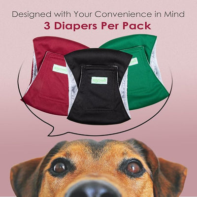 wegreeco Washable Male Dog Belly Band (Stylish Pattern)- Pack of 3 - Washable Male Dog Belly Wrap, Dog Diapers Male (Burgundy, Black, Jade, X-Small)