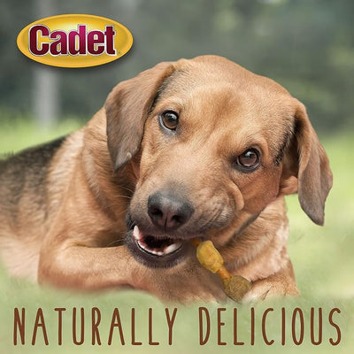 Cadet Gourmet Shish Kabob Dog Treats, Healthy Dog Chew Sticks for Dogs, Rawhide Chews with Chicken and Sweet Potato, Natural Pork Hide Twist Sticks, 5-Inch Sticks, 24 oz. Bag